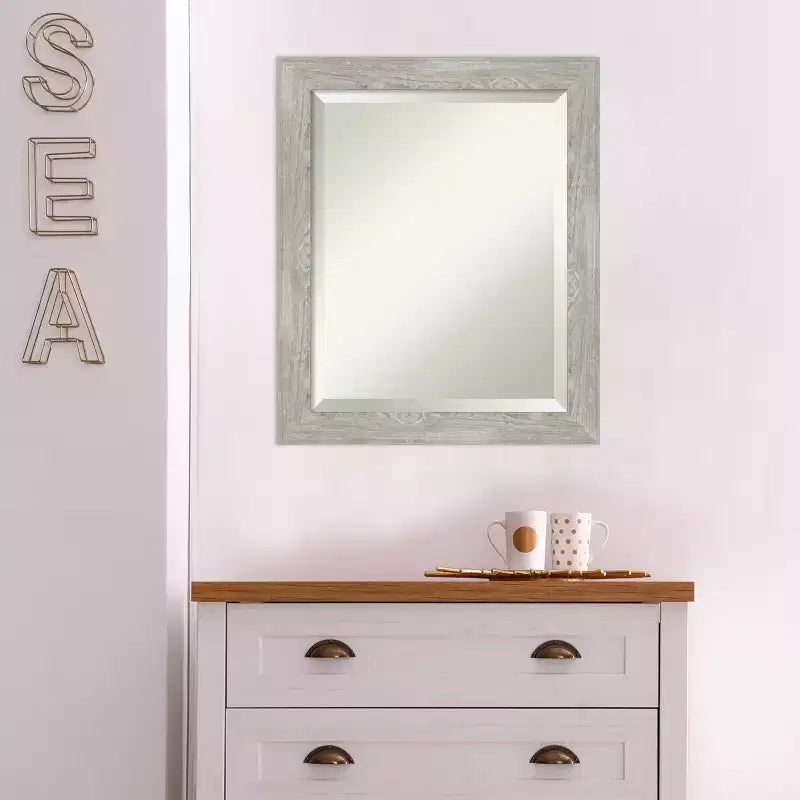 19.5" x 23.5" Rectangle Beveled Wall Mirror – Graywash Narrow Polystyrene Frame
