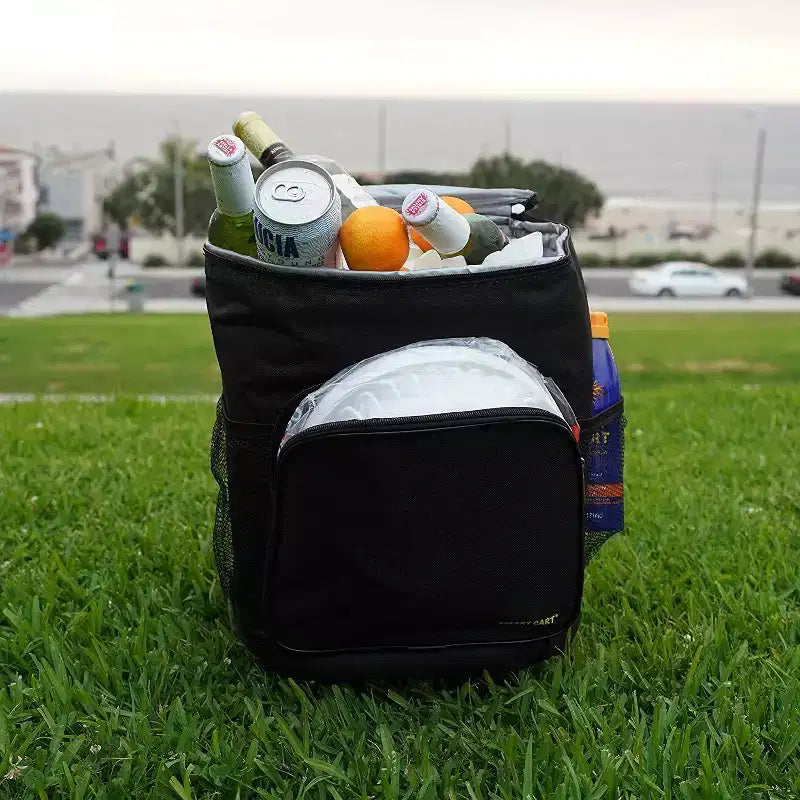 Carrello frigo portatile isolato e pieghevole – Capacità 36 lattine, meno di 1,4 kg, si ripiega
