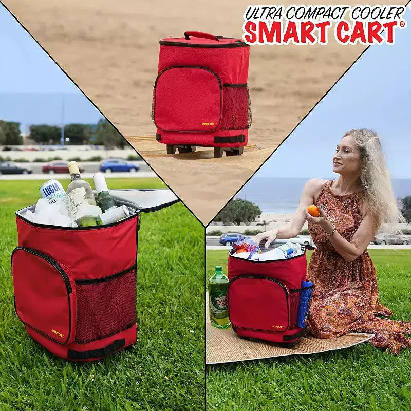 Carrello frigo portatile isolato e pieghevole – Capacità 36 lattine, meno di 1,4 kg, si ripiega